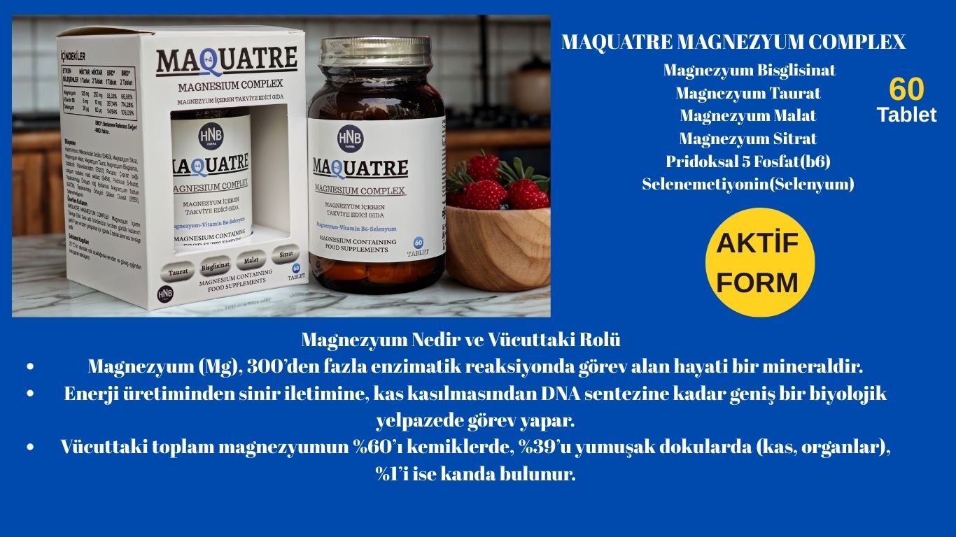 Magnezyum Nedir ve Vücuttaki Rolü Magnezyum (Mg), 300’den fazla enzimatik reaksiyonda görev alan hayati bir mineraldir. Enerji üretiminden sinir iletimine, kas kasılmasından DNA sentezine kadar ge